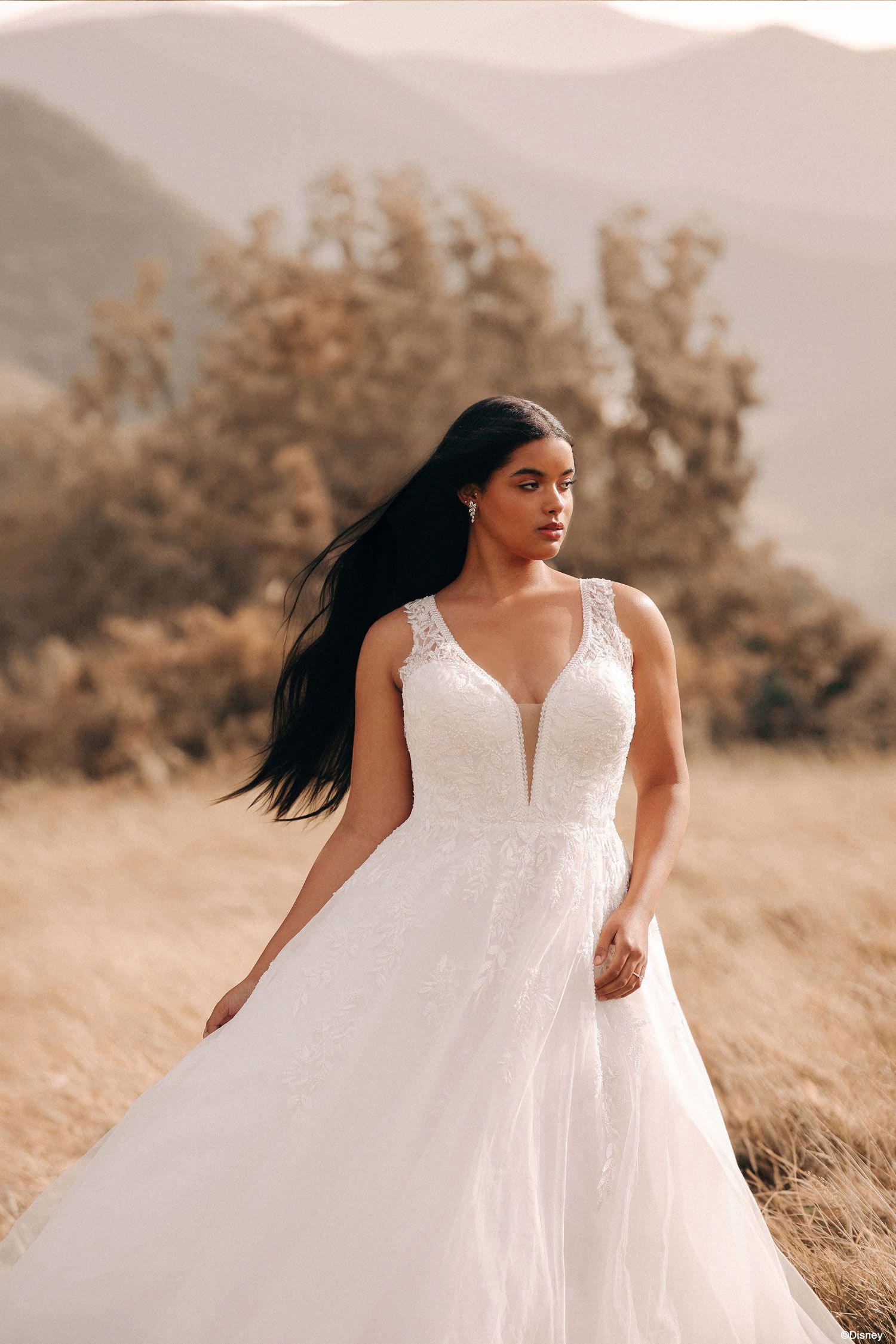 Disney Fairy Tale Weddings Princess Collection - Pochontas