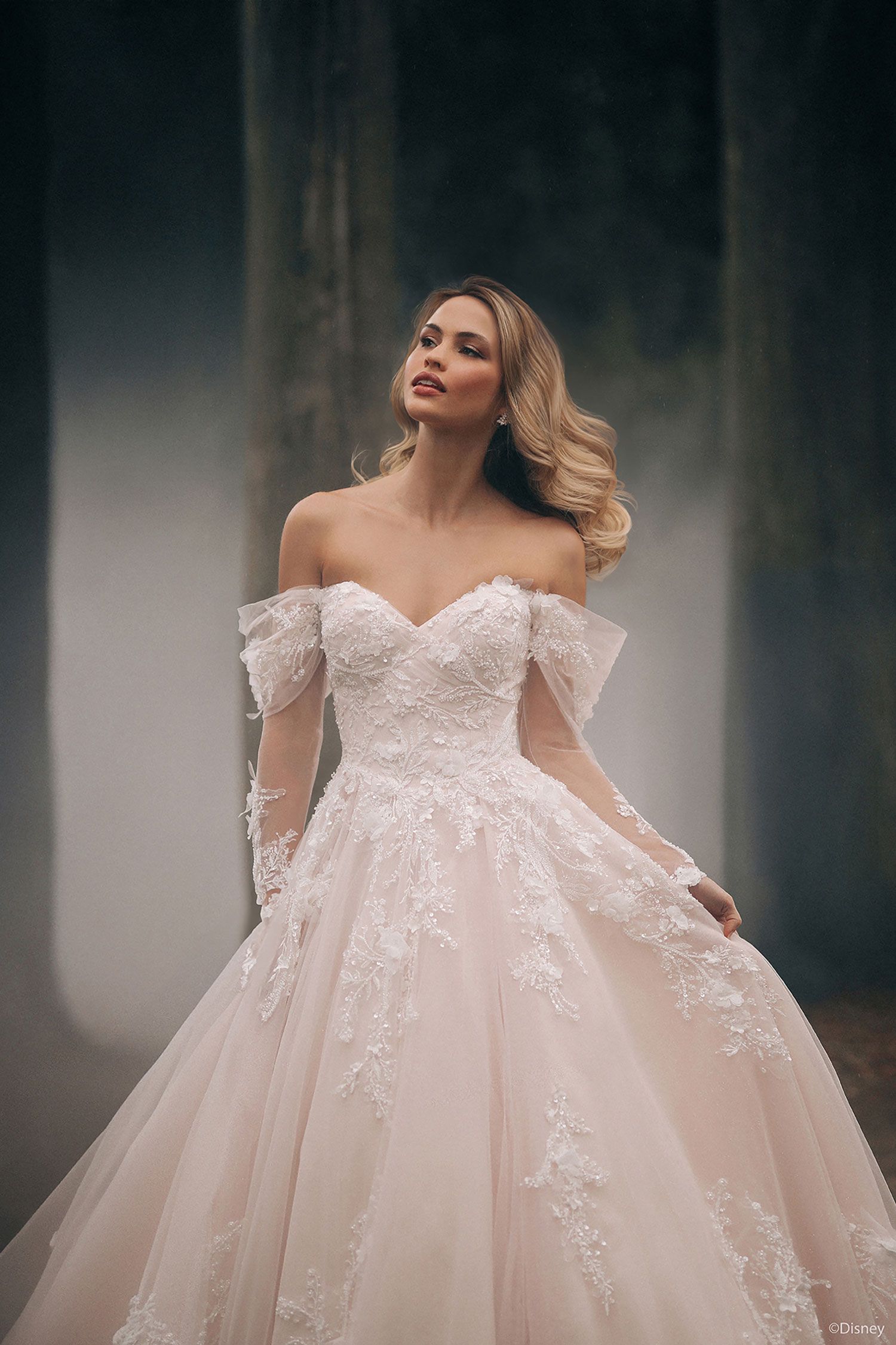 Disney Fairy Tale Platinum Collection 2025 - Aurora