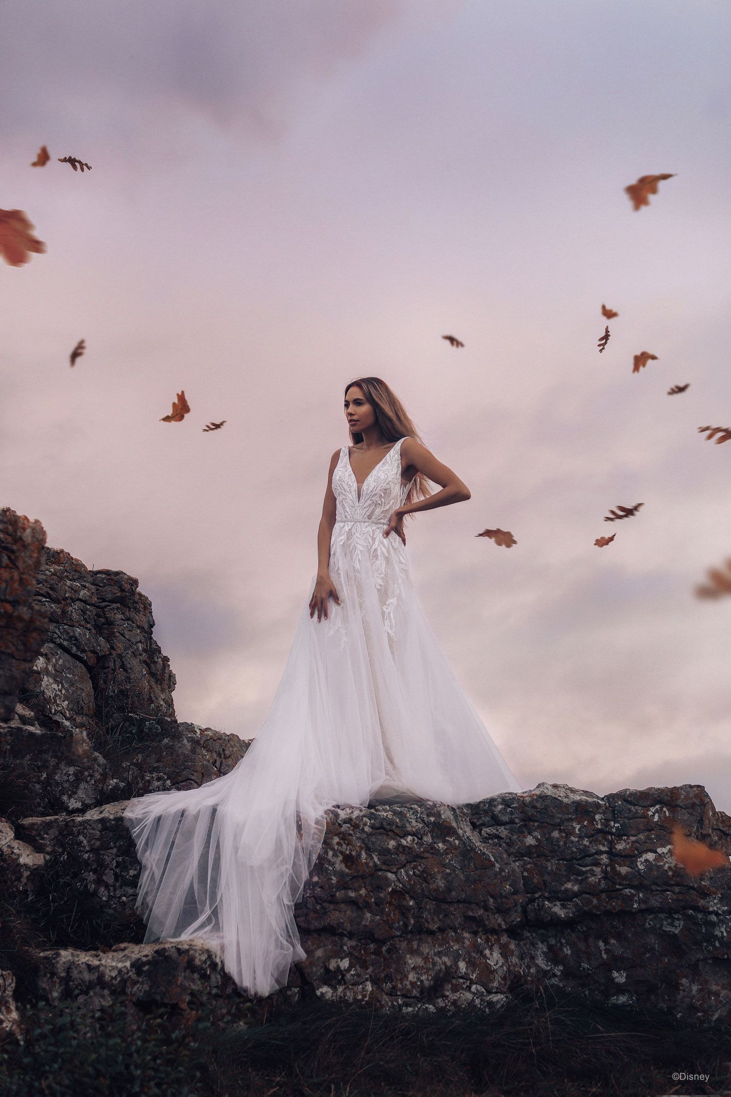 Disney Fairy Tale Princess Collection 2022 - Pocahontas