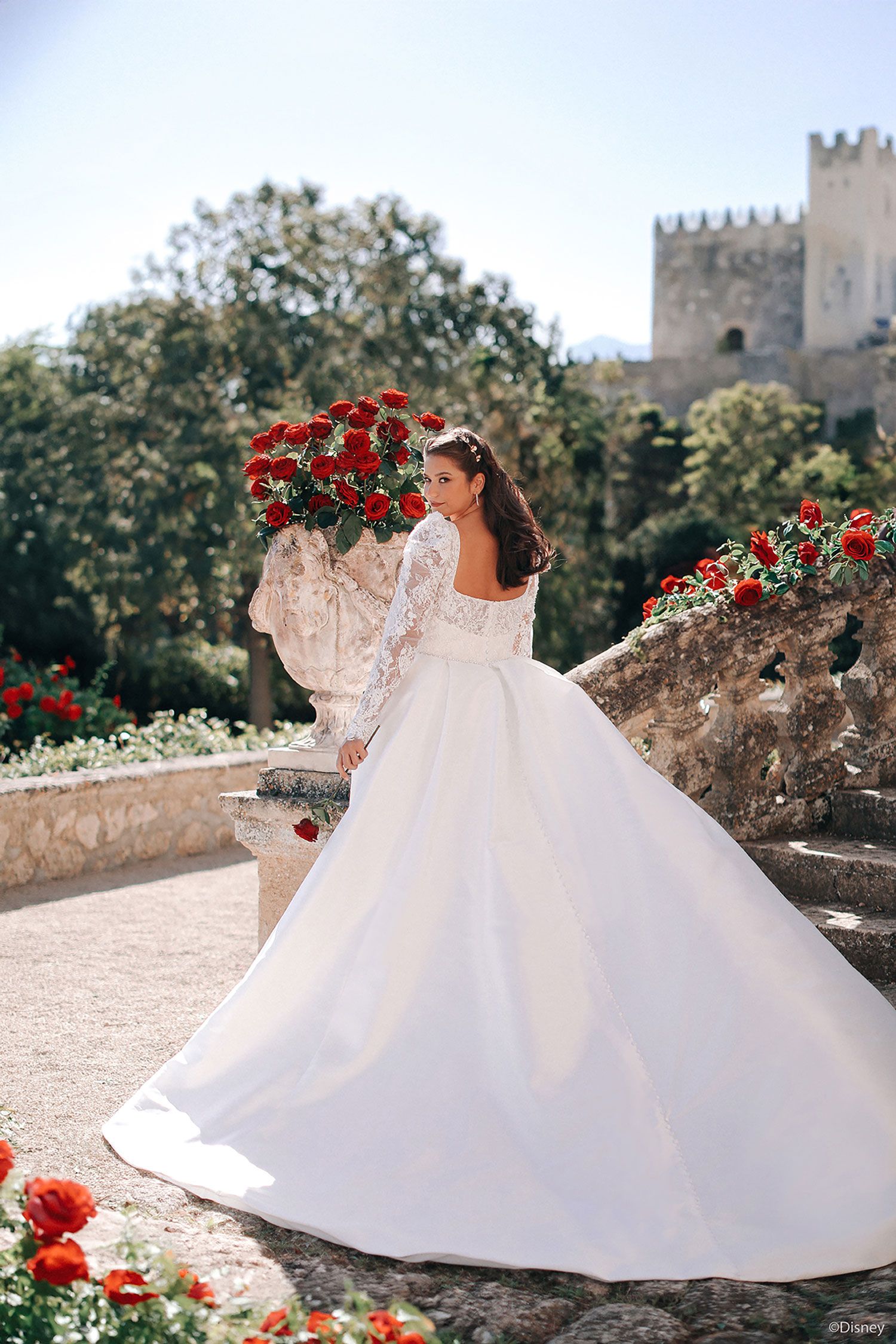 Belle Elegant Wedding Dress D442 castle background
