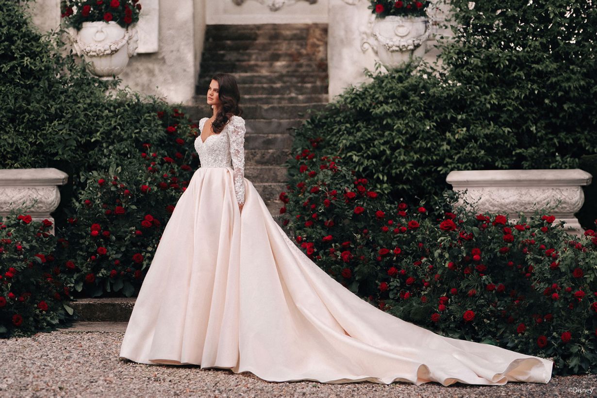 Belle Elegant Wedding Dress D442