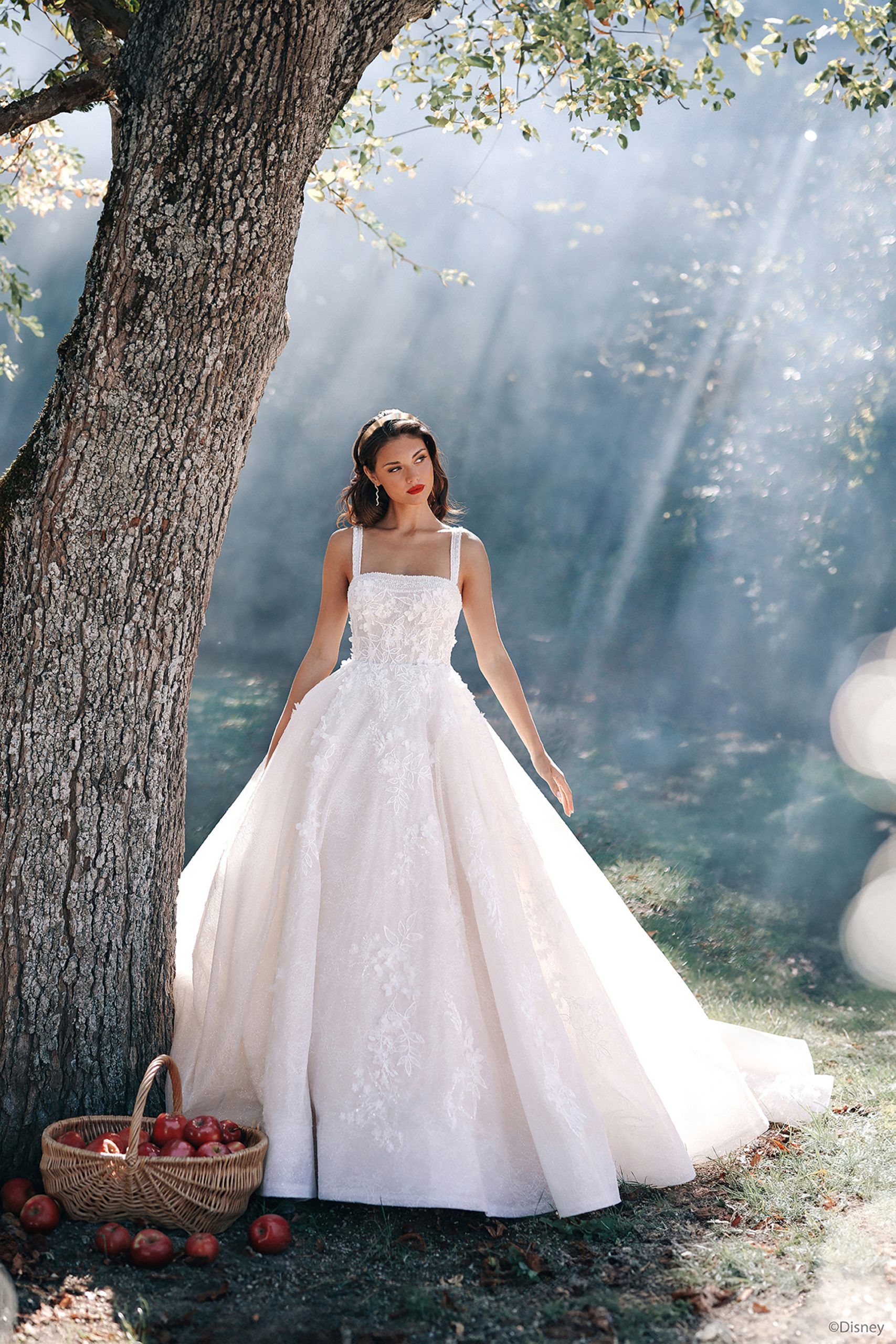 Snow White DP427 Wedding Dress fairytale collection