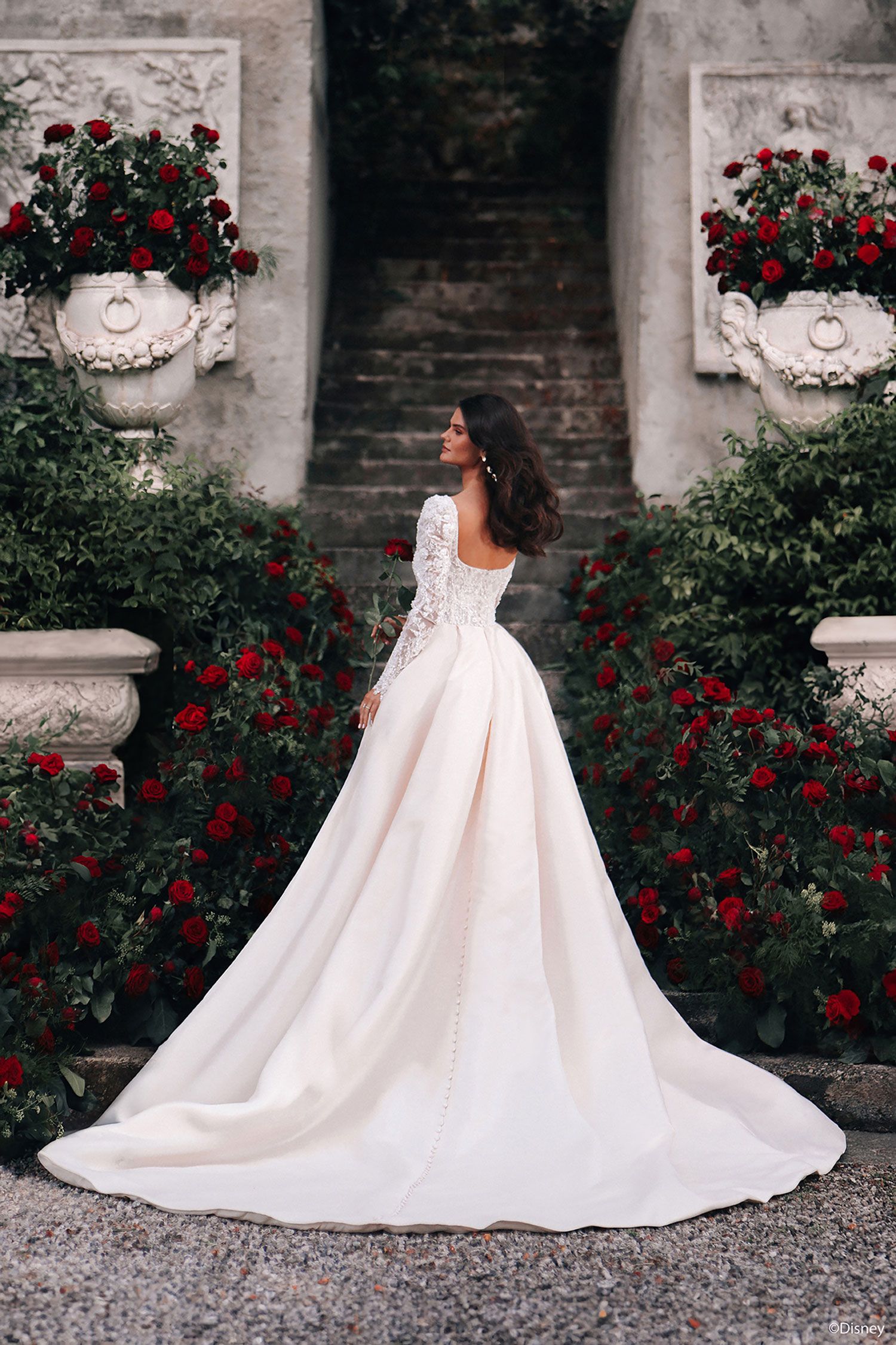 Belle Elegant Wedding Dress D442 1